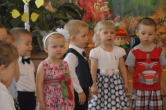 SAM_0355
