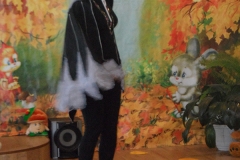 SAM_0384